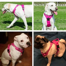 Dogs Reflective Breathable Vest Chest Strap