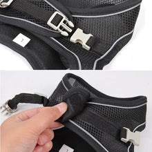 Adjustable Pet Harness and Lead Set