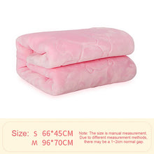Pet Winter Thick Blanket