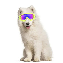 Wind And Snow Pet Googles