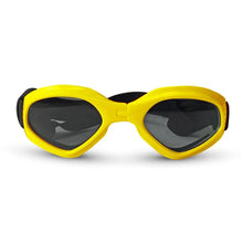 Pets Wear Sunglasses