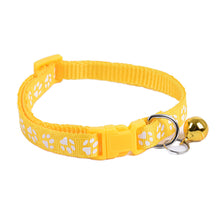 Comfy Collars for Pets