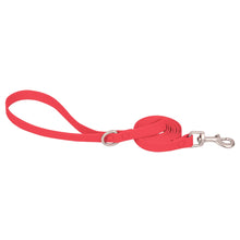 PVC Waterproof Dog Collar and Leash