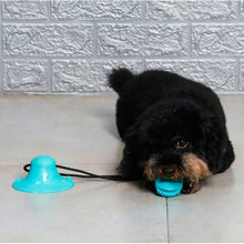 Tug Toy for Pets with Suction Cup