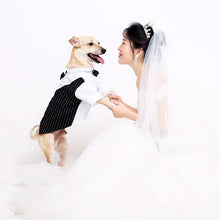 Bow Tie Shirt Dog Formal Wear Outfits