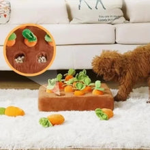 Vegetable Inspired Snuffle Mat for Pets