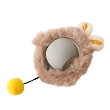 Fast Rolling Interactive Cat Toy