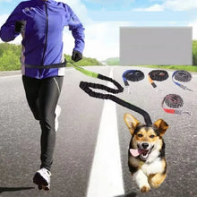 Adjustable Hand Free Dog Leash