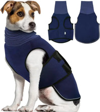 Thunder Jacket for Large Dogs