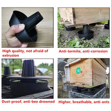 Bee Hive Anti-ant Bracket Sink