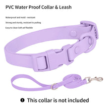 PVC Waterproof Dog Collar and Leash