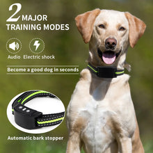 Dog Training Collar with Auto Anti Bark Control