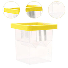 Aquarium Breeding and Isolation Box