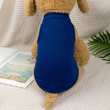 Dog Summer Vest Casual Outfit