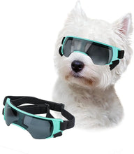 Dog Sunglasses Small Breed