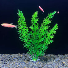 Aquarium Artificial Plant