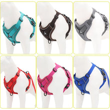 No Pull Dog Harness Set