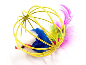 Colorful Cat Teaser Toy