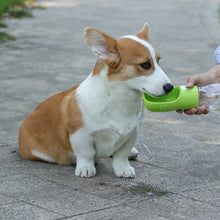 2 In 1 Pet Water Bottle and Food Dispenser
