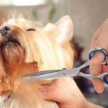 Round-Tip Pet Grooming Scissors
