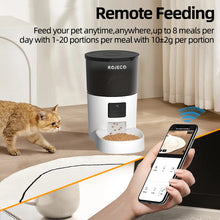 ROJECO Automatic Feeder With Camera