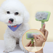 Pet Hair Remover Massage Combs