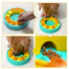 Slow Feeder Puzzle Toy for Pets