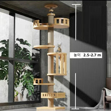 Multi Level Ceiling Cat Tree