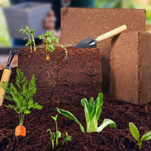 Coco Peat Organic Coconut Fiber Substrate