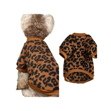 Leopard Print Winter Sweater for Dogs