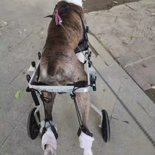 Large Dog Wheelchair For Hind Limb