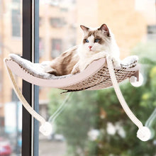 Ergonomic Hanging Cat Beds