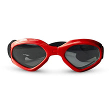 Pets Wear Sunglasses