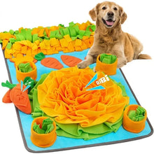 Large Interactive Snuffle Mat for Pets