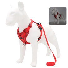 No Pull Dog Harness Set