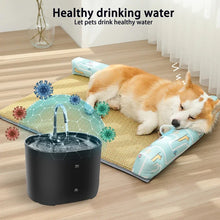 Loop Filter Dog Water Dispenser & Automatic Fountain