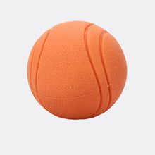 Rubber Ball Bite-Resistant Dog Toy