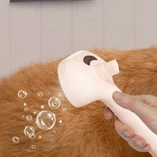 Pet Steam Brush