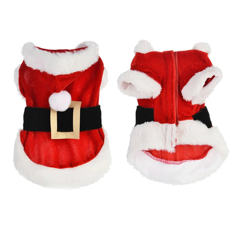 Santa Inspired Pet Costume