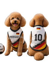 Puppy Football Summer Vest Outfit