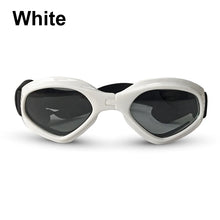 Fashionable Sunglasses for Pets