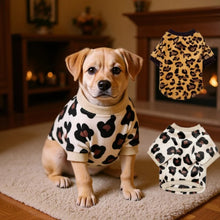 Leopard Print Winter Dog Hoodie