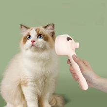 Pet Steam Brush
