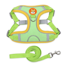Adjustable Harness Leash Set for Dogs
