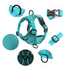 No Pull Dog Harness Set