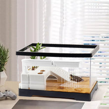 Large Transparent Turtle Tank Aquarium