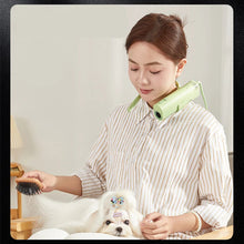 Pet Grooming Hair Dryer With 220V