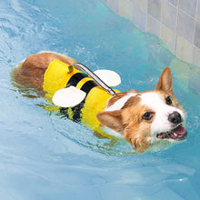 Dog Collar Harness Swimsuit