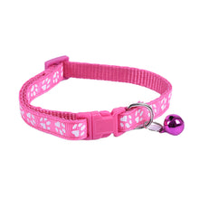 Comfy Collars for Pets