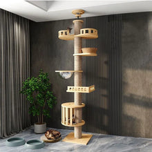 Multi Level Ceiling Cat Tree